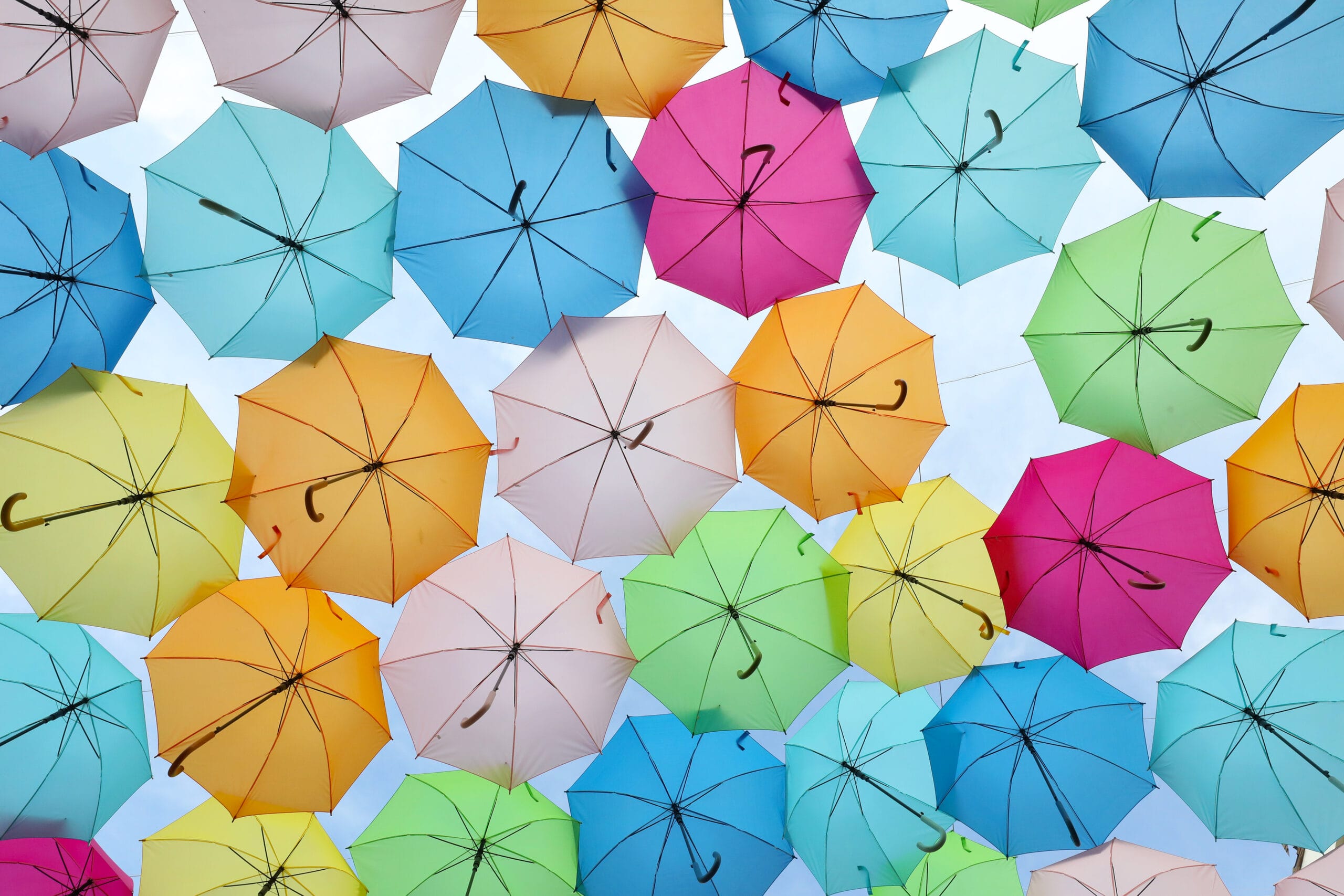 A Guide to Dollywood's Flower & Food Festival (2025 Edition!) 1 Dollywoods Flower and Food Festival