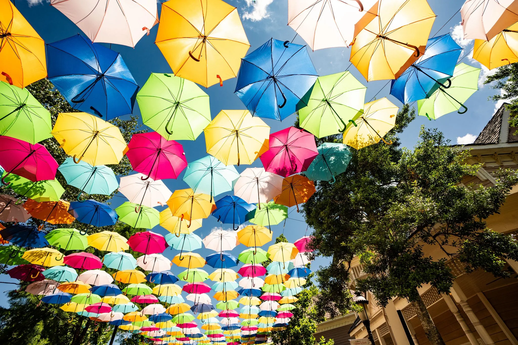 24.05_UmbrellaFlowers-9