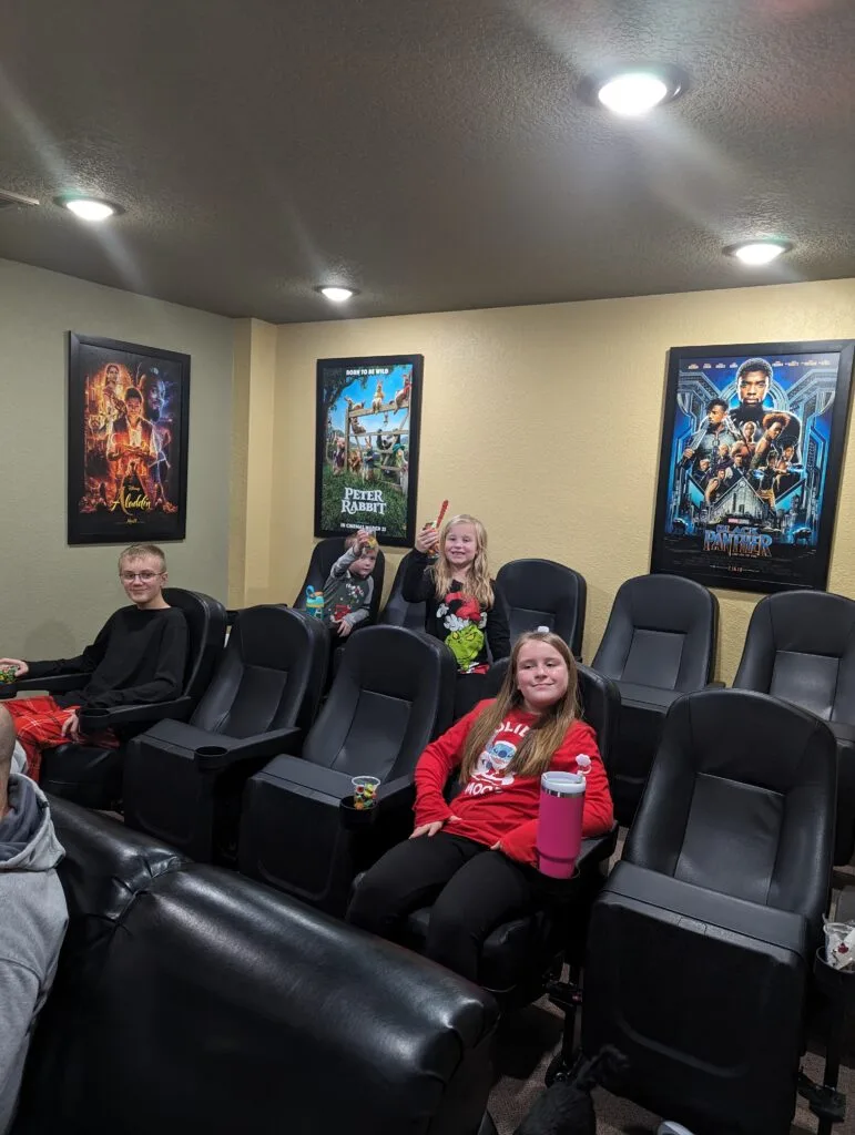 Fireside Retreat-Movie Theater