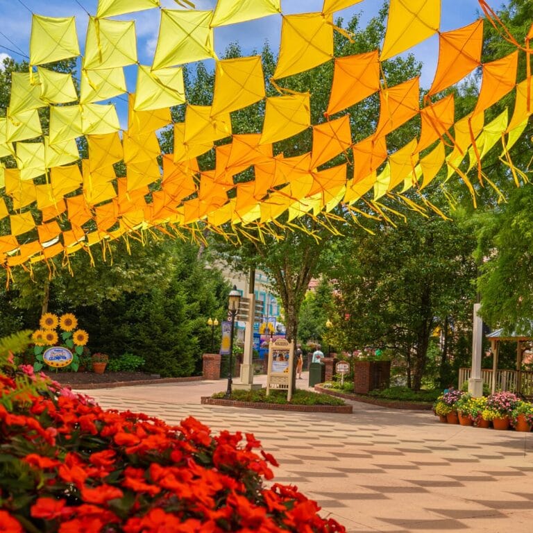 Kite-Sky-Dollywood-Summer Celebration