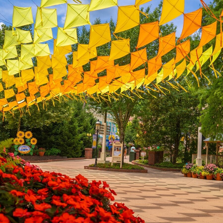 Kite-Sky-Dollywood-Summer Celebration