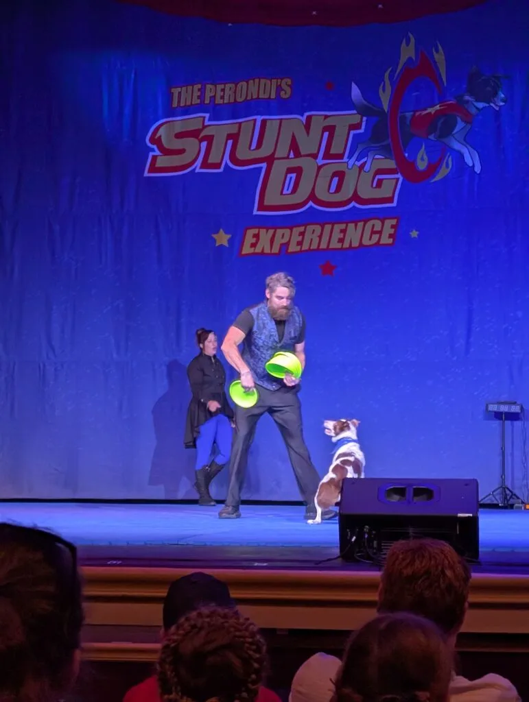 Dog doing frisbee tricks at the Perondi's Stunt Dog Experience at Dollywood