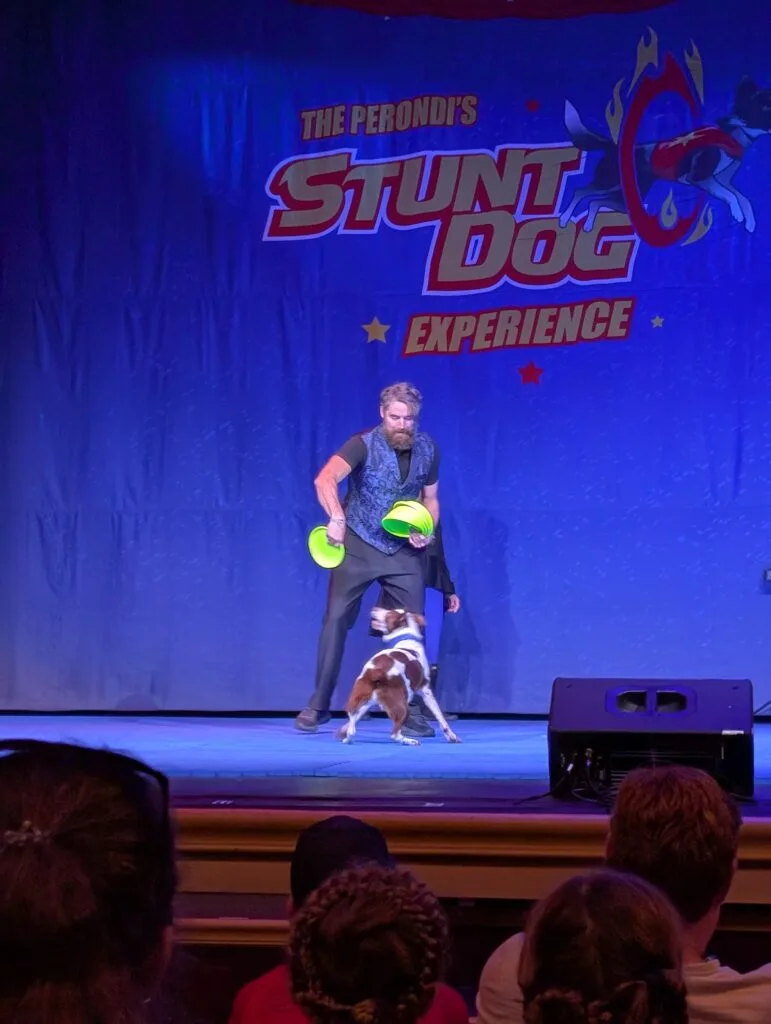 Man and Dog doing frisbee tricks at the Perondi's Stunt Dog Experience at Dollywood