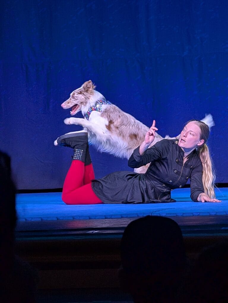 Woman doing tricks with a dog at the Perondi's Stunt Dog Experience at Dollywood