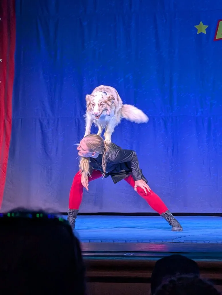 Dollywood Summer Celebration Festival Tour: Is It Worth It? 3 Woman with a dog on her back at the Perondi's Stunt Dog Experience at Dollywood
