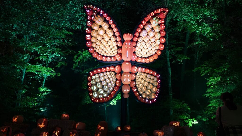 Butterfly made out of Pumpkins at Dollywood's Harvest Festival Photo Credit: Dollywood