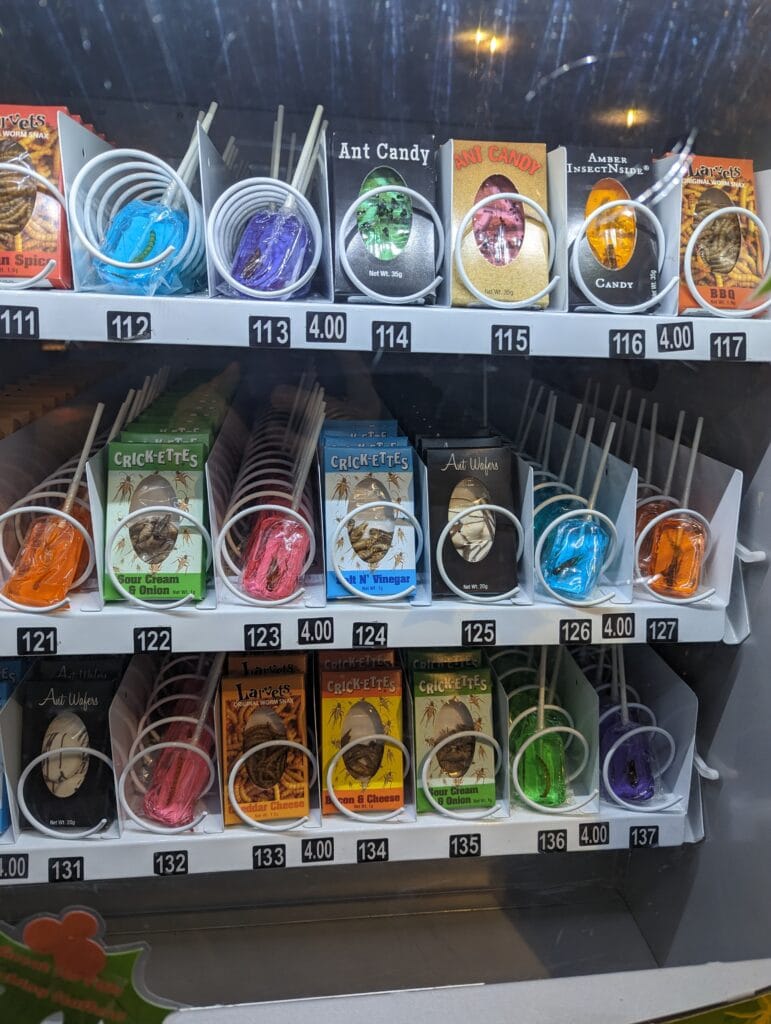 Edible bug vending machine at Riley's Believe it or not in Gatlinburg, TN Photo Credit: Lindsay Harvey- Simply Touring