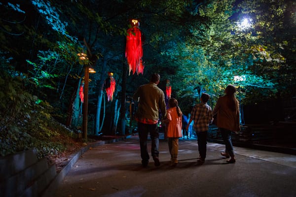 Great Pumpkin LumiNights Tour
Photo Credit: Dollywood