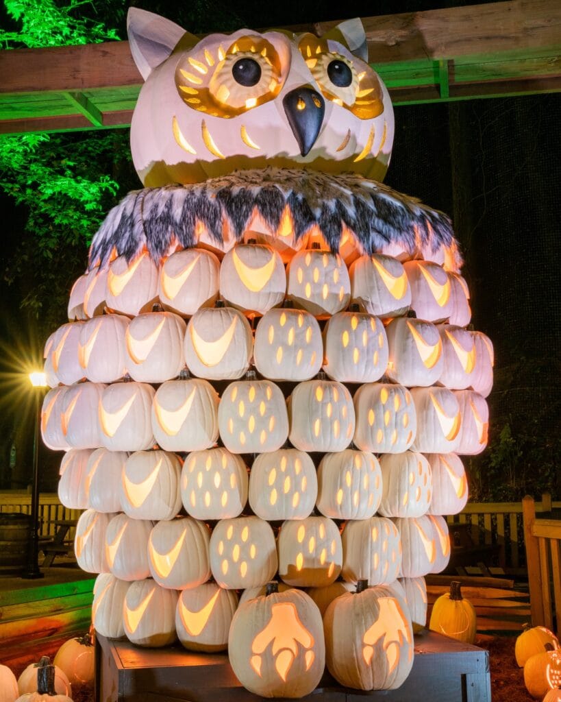 Owl Made out of pumpkins at Dollywood's Harvest Festival Photo Credit: Dollywood