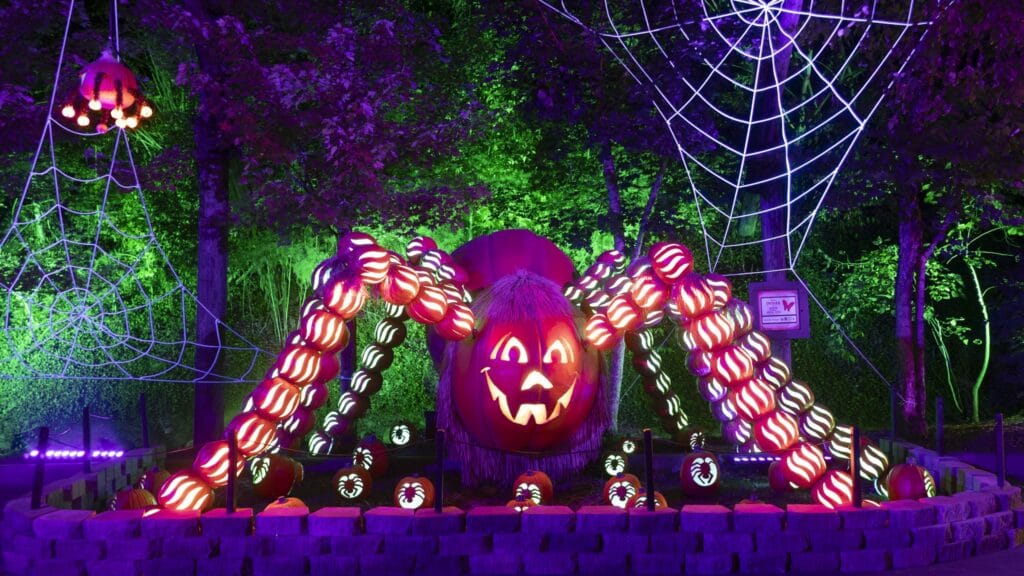 Pumpkin Spider at night time lit up at Dollywood's Harvest Festival Photo Credit: Dollywood