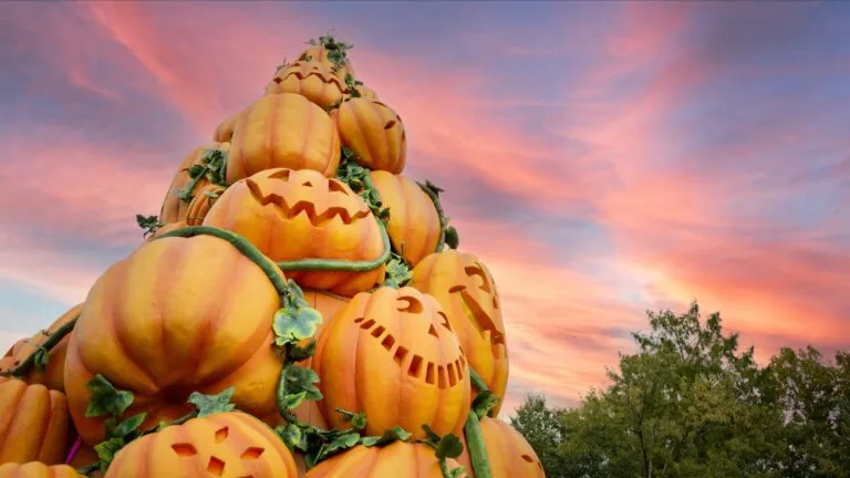 Great Pumpkin LumiNights Tour: Go Behind the Glow 20 Tower of Pumpkins at Dollywood's Harvest Festival Photo Credit: Dollywood