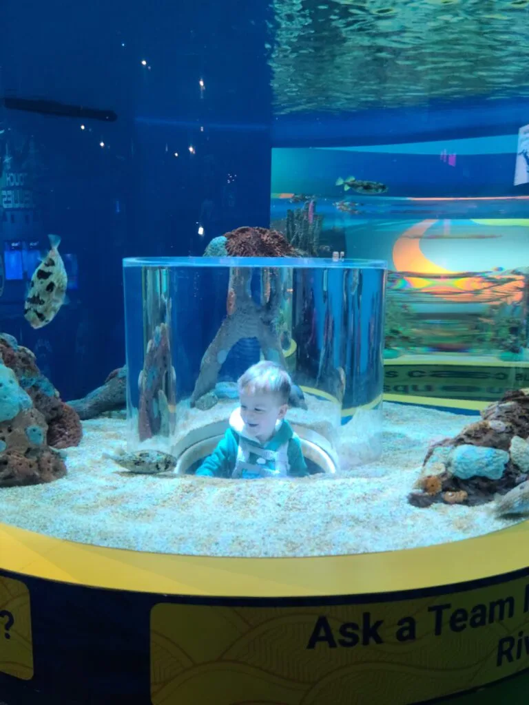 7-Day Smoky Mountain Vacation Itinerary: The Perfect Week in Pigeon Forge & Gatlinburg 9 Child in exhibit at Ripley's Aquarium of the Smokies in Gatlinburg, TN Photo Credit: Lindsay Harvey-Simply Touring