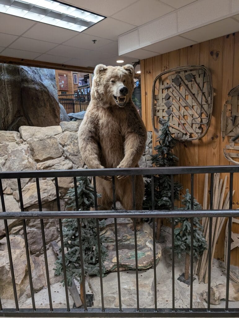 A Father's Guide to Smoky Mountain Knife Works: Where Adventure Meets Family Fun 7 Bear at Smoky Mountain Knife Works in Sevierville, TN Photo Credit: Lindsay Harvey-Simply Touring