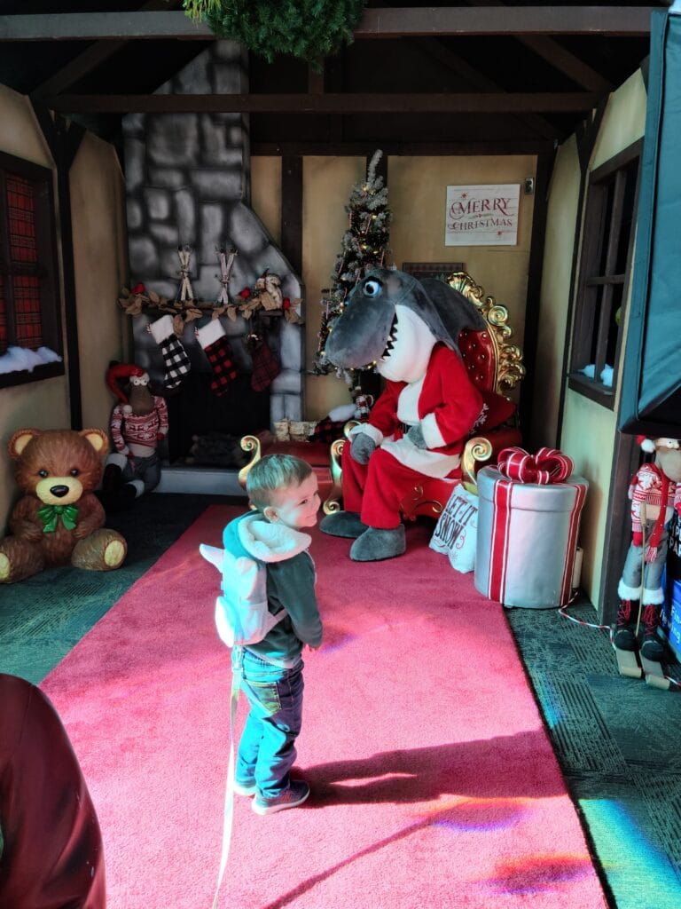 Santa Shark at Ripley's Aquarium of the Smokies in Gatlinburg, TN Photo Credit: Lindsay Harvey-Simply Touring