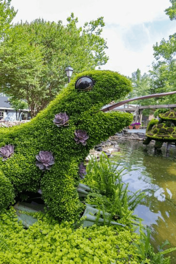 Frog Topiary at Dollywood's Flower and Food Festival-Photo Credit: Dollywood
