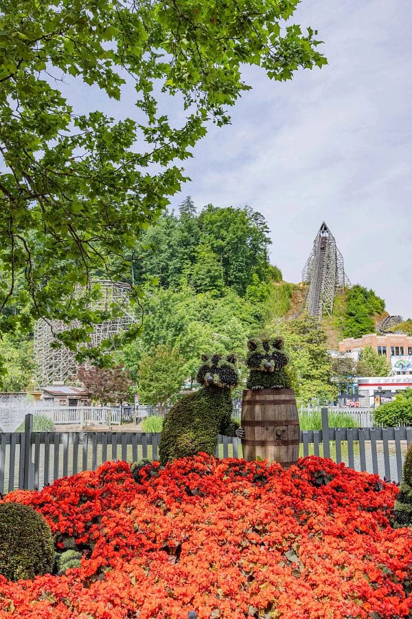 Racoon Topiaries at Dollywood Flower and Food Festival-Photo Credit: Dollywood