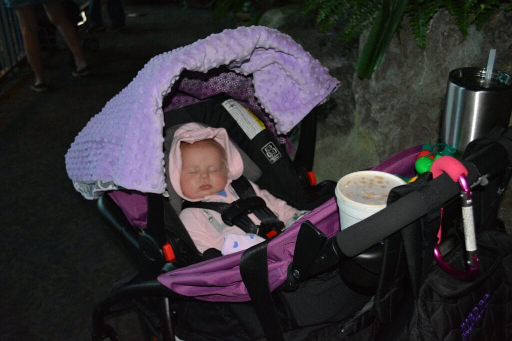 Dollywood Stroller Guide 6 Aubree asleep in her stroller with the Mommy Hook attached in Dollywood
