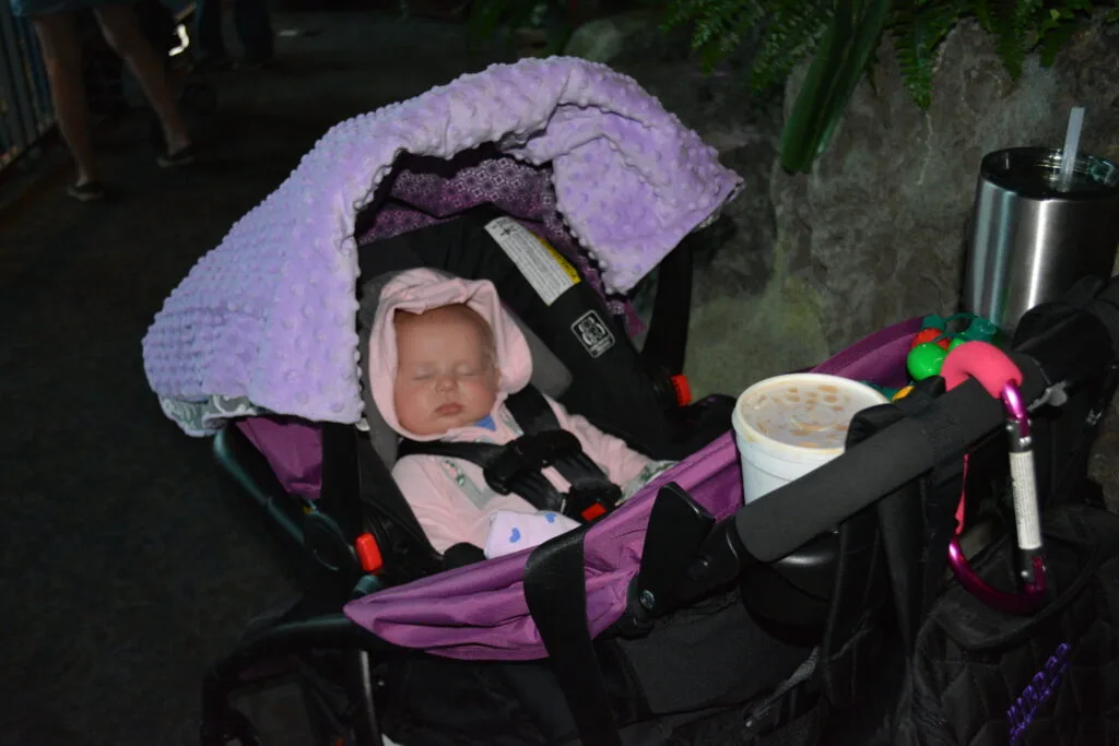 Aubree asleep in her stroller with the Mommy Hook attached in Dollywood