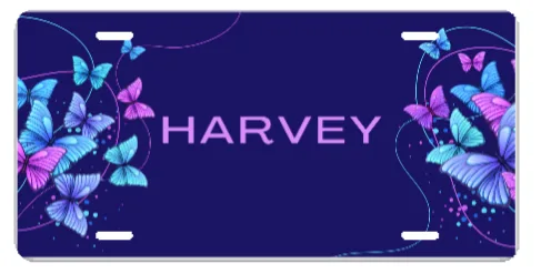 Custom Stroller License Plate for Dollywood