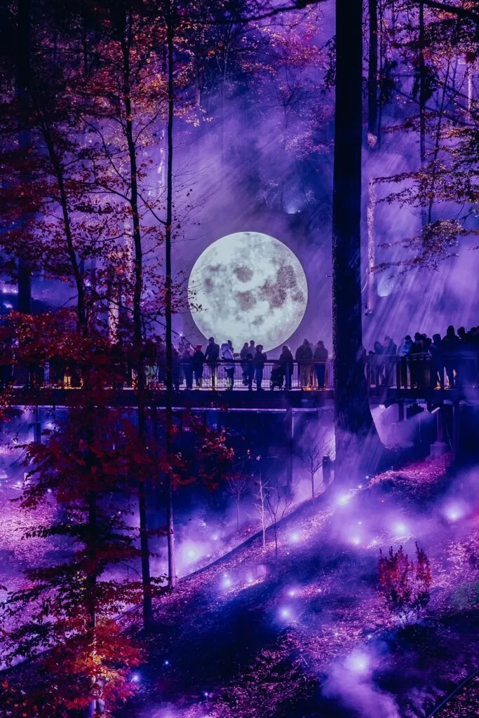 Moment_Factory_Originals_Digital_Art_Experiences_Smoky_Night_Lights_06_WS-Photo Credit: Moment Factory
